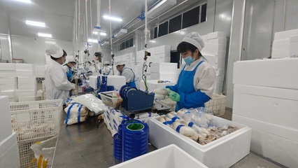 安圖生物 鉚足干勁抓生產(chǎn)，奮力沖刺生物制品“開(kāi)門(mén)紅”